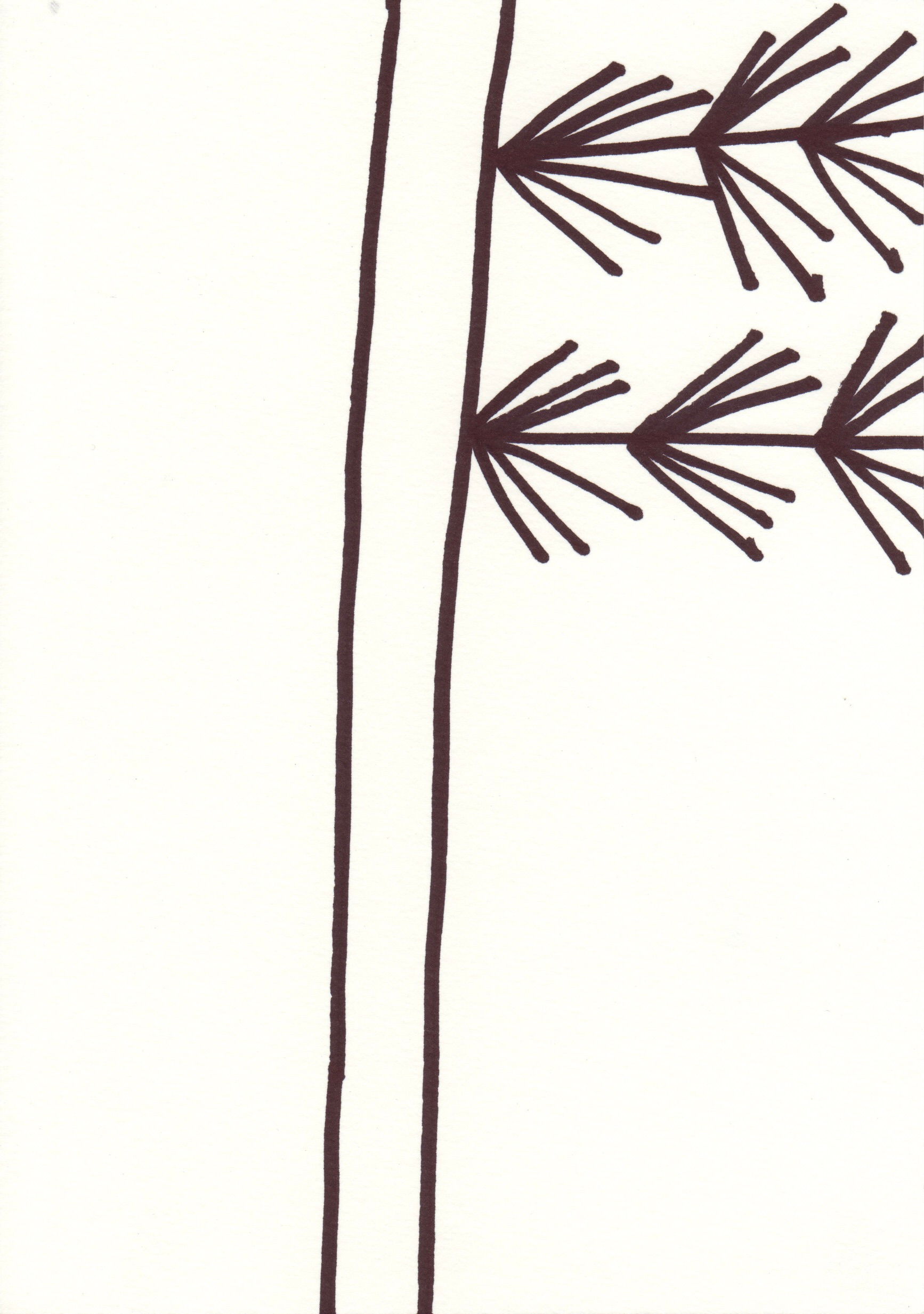 Lithuania drawing 2